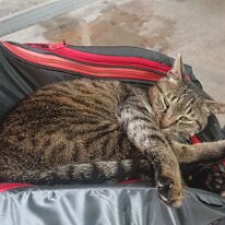 DSCPDC_0000_BURST20240529130625484