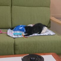 DSCPDC_0000_BURST20240701125302634