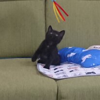 DSCPDC_0000_BURST20240701125316191